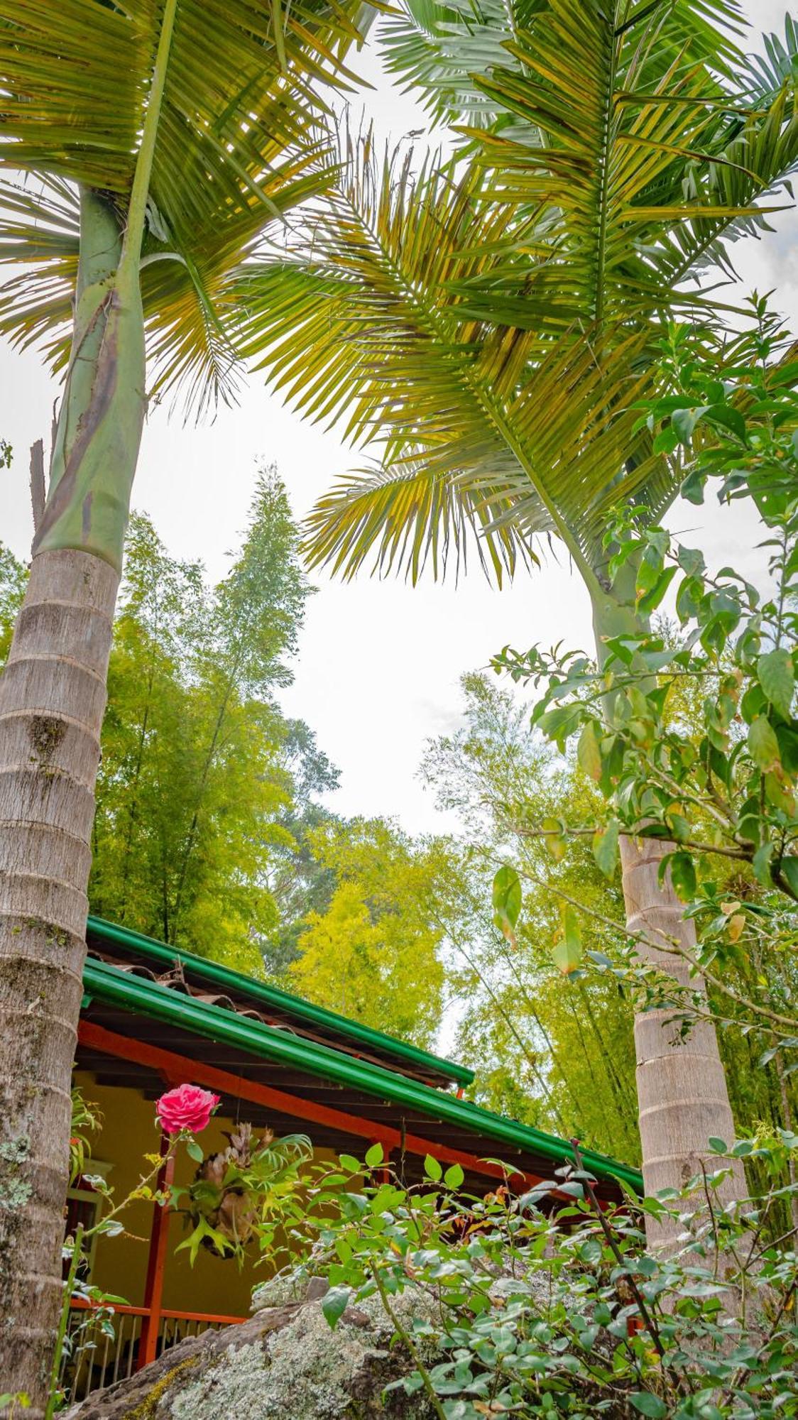 Kantarrana Casa De Campo คาร์ดิน ภายนอก รูปภาพ